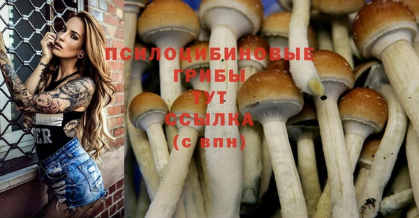 твердый Белокуриха