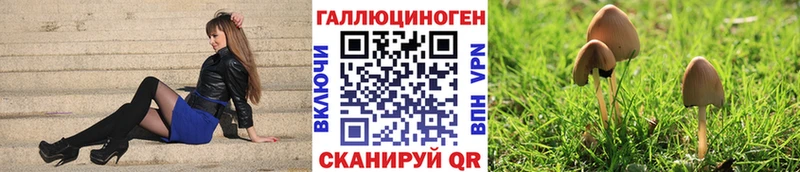 площадка официальный сайт  где купить наркоту  Видное  Псилоцибиновые грибы Psilocybine cubensis 