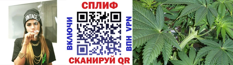 хочу   Видное  MEGA онион  Марихуана Bruce Banner 